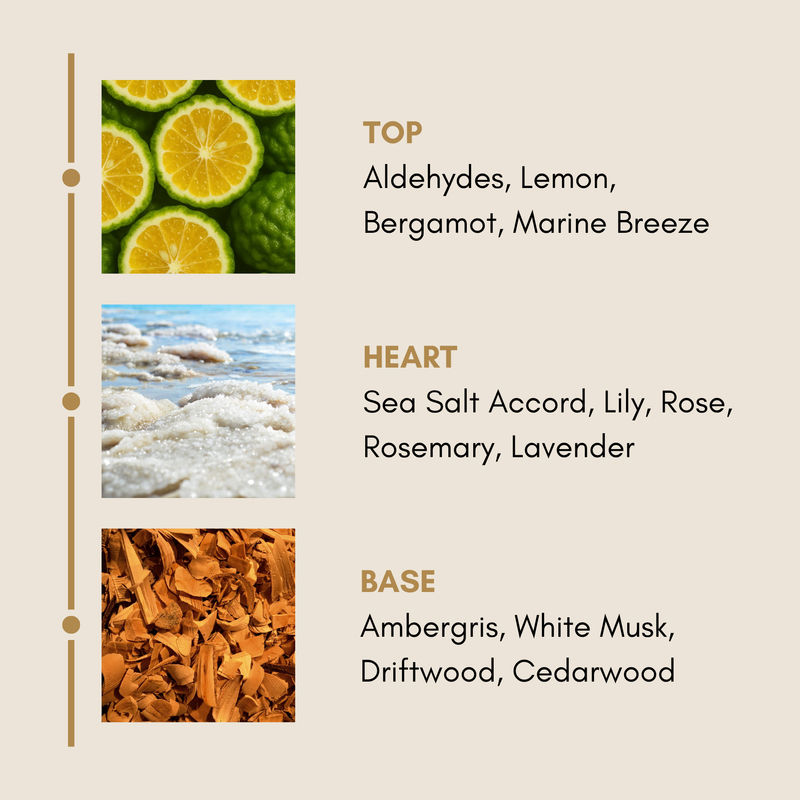Mini Rakhi Gift Hamper | White Linen + Sea Salt